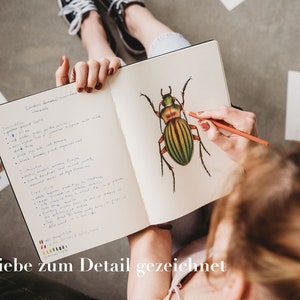 Op de afbeelding: Een persoon tekent een gedetailleerde illustratie van een groene en zwarte kever in een notitieboek. Het notitieboek bevat handgeschreven notities over de kenmerken van de kever. De tekst "Mit Liebe zum Detail gezeichnet" is zichtbaar onderaan de afbeelding.