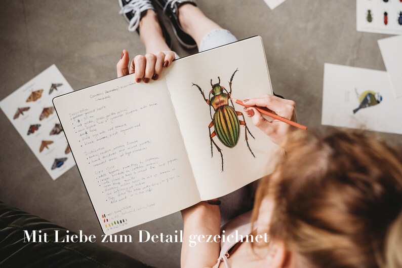 Op de afbeelding: Een persoon tekent een gedetailleerde illustratie van een groene en zwarte kever in een notitieboek. Het notitieboek bevat handgeschreven notities over de kenmerken van de kever. De tekst "Mit Liebe zum Detail gezeichnet" is zichtbaar onderaan de afbeelding.