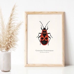 Poster Feuerwanze, Kinderzimmer Naturposter A4
