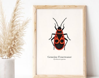 Firebug poster, children's room nature poster A4