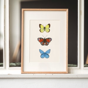 Poster con farfalle per la cameretta dei bambini, stampa artistica sulla natura con tre farfalle colorate