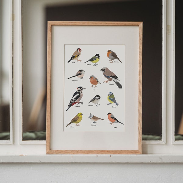 Poster heimische Vögel, Kunstdruck mit Zeichnungen von zwölf heimischen Vogelarten | Optional gerahmt oder mit einer Posterleiste | A4, A3