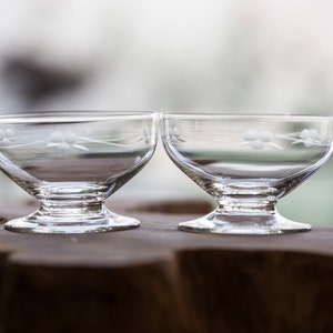 Vintage French Etched Glass Dessert Cups - Set of 2
