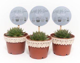 20 Pack of Succulent Baby Shower Favors with Sign Download, Custom Design Succulent, Succulent Party Favor, Watch Me Grow, Baby Shower Gift