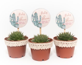 20 Pack of Succulent Baby Shower Favors with Sign Download, Custom Design Succulent, Succulent Party Favor, Baby in Bloom, Baby Shower Gift