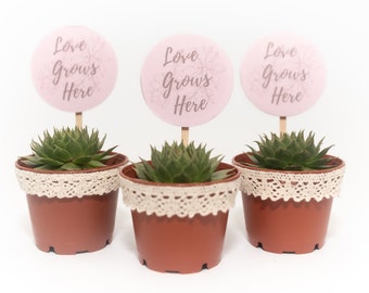 20 Pack of Succulent Wedding Favors with Sign Download, Custom Design Succulent, Love Grows Here, Succulent Favor, Wedding Thank You Gift