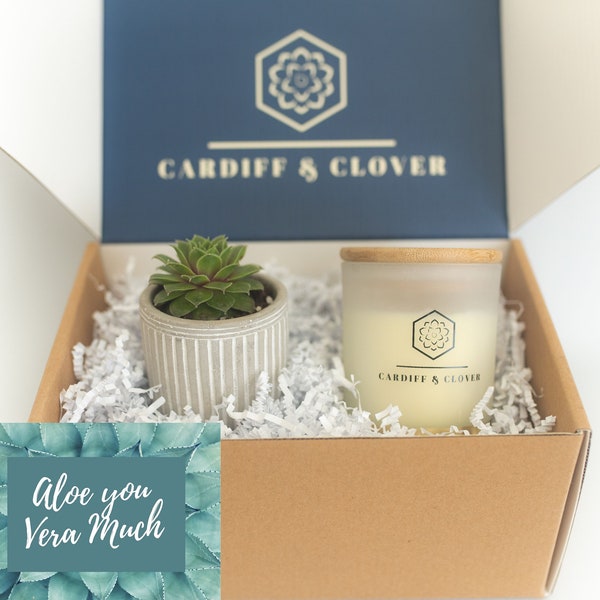 Aloe You Succulent Gift Box with Scented Soy Candle. Gift for Boyfriend, Anniversary Gift, Daughter Gift, Punny Gift