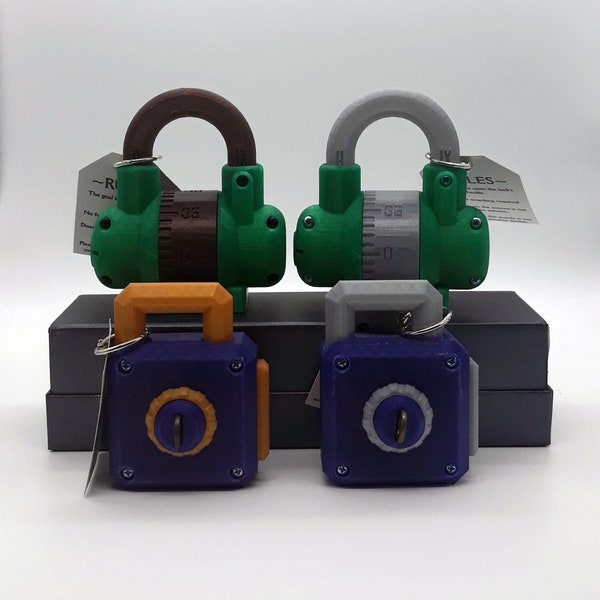 Locksmith Series Puzzle Locks