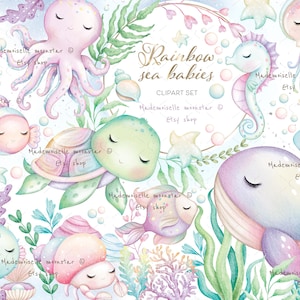 Regenboog zee baby's clipart. Schattige zeedieren digitale PNG-bestanden. Schildpad, vissen, octopus, kwallen, zeepaardje, wale. Commercieel gebruik.