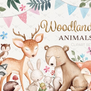 Simpatici animali della foresta Acquerello Clipart Set. Animali ad acquerello bosco, orso, coniglietto, volpe, riccio, caro e gufo. File PNG da 300 dpi