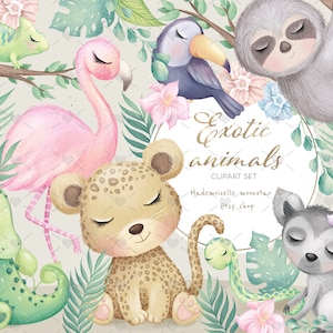 Exotische Dschungeltiere, süße Clipart. Afrikanische Safari Tiere Babys. Faultier, Leopard, Flamingo, Lemur, Clipart. 300 dpi PNG digitale Dateien.