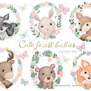 Simpatici bambini della foresta animali Clipart Set 300 dpi PNG file. Animali boschivi con file digitali clipart di ghirlando.