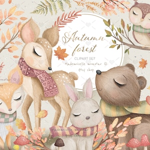 Conjunto de clipartes de animales del bosque de otoño. Animales del arbolado en el bosque del otoño. Oso, querido, búho, zorro, conejo. Archivos PNG de 300 ppp. Uso comercial.