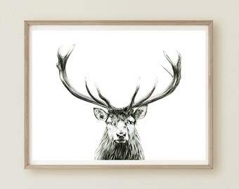 Veado vermelho, impressão de cabine rústica, impressão de veado, veado, desenho de cabeça de fanfarrão, impressão de chifre de veado, floresta de animais selvagens, impressão de caça, impressão de Natal