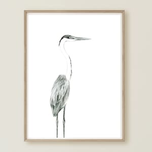 Cocoi Heron, Heron Wall Art, Heron Painting, Wetland Bird, Heron Room Decor, Cocoi Heron Painting, Bird Print, Water Bird Print, Ardeidae
