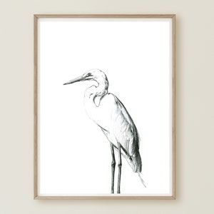 Great White Heron, Heron Wall Art, Heron Painting, Wetland Bird, Heron Room Decor, Egret Painting, Bird Print, Minimal Bird Print