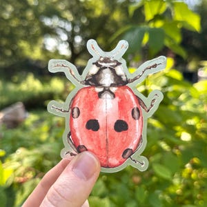 May include: A ladybug sticker with a red body and black spots is held up against a green, leafy background. The sticker has a transparent border and is a detailed illustration of the insect.