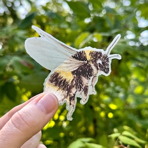 Bumblebee Clear Vinyl Sticker | Watercolor Bee Decal | Pollinator Laptop Sticker | Water Bottle Sticker