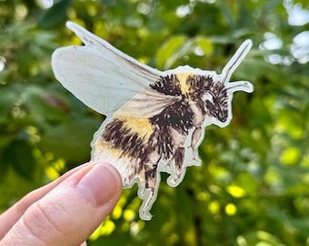 Pegatina de vinilo transparente de abejorro / Calcomanía de abeja en acuarela / Pegatina de polinizador para portátil / Pegatina para botella de agua