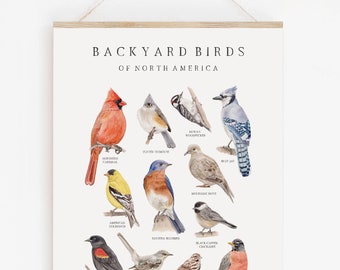 Backyard Birds of North America Watercolor Print | Nature Chart | Bird Wall Art | Playroom art | Nursery Wall Art | Farmhouse Living Room