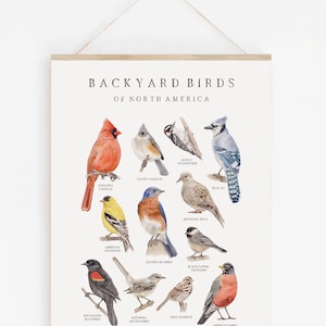 Backyard Birds of North America Watercolor Print | Nature Chart | Bird Wall Art | Playroom art | Nursery Wall Art | Farmhouse Living Room