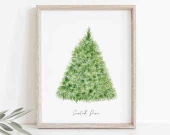 Scotch Pine | Winter Trees Watercolor Print | Conifer Watercolor Art Print | Pine Tree Watercolor | Evergreen Wall Art | Farmhouse Christmas