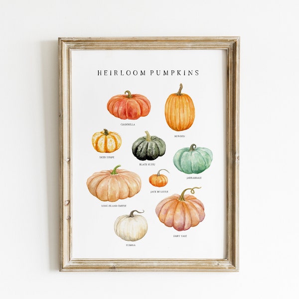Heirloom Pumpkins Watercolor Print | Educational Chart | Fall Wall Art | Autumn Decor | School Room Wall Art | Nature Study, Charlotte Mason