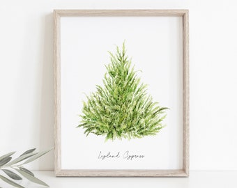 Leyland Cypress | Winter Trees Watercolor Print | Conifer Tree | Watercolor Christmas Tree Art Print | Evergreen Wall Art