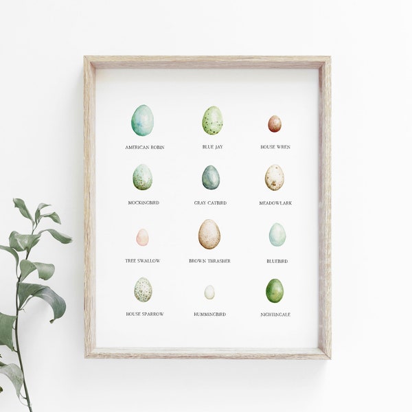 Bird Eggs Chart | Watercolor Print | Educational Nature Wall Art | Nature Study, Charlotte Mason, Montessori