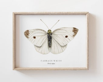 Cabbage White Butterfly Watercolor Art Print | Butterfly Painting | Montessori Nature Print | Girls bedroom art | Nursery wall art gallery