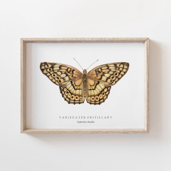 Variegated Fritillary Butterfly Watercolor Art Print | Butterfly Painting | Girls Nursery Art | Living room wall art | Girls bedroom print