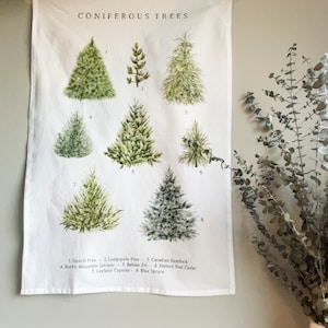 Winter Trees Tea Towel | Conifer Tree Kitchen Towel | Christmas Tree Flour Sack Towel | Holiday Kitchen Decor | Watercolor Evergreen Towel