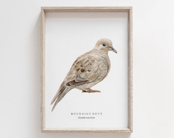 Mourning Dove Watercolor Print | Backyard Bird Painting | Birds of North America | Naturalist Nursery Decor | Farmhouse Living Room Art
