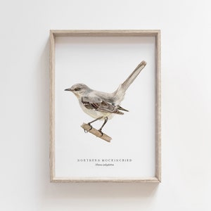 Northern Mockingbird Watercolor Print | Backyard Bird Painting | Birds of North America | Naturalist Nursery Decor | Tennessee State Bird