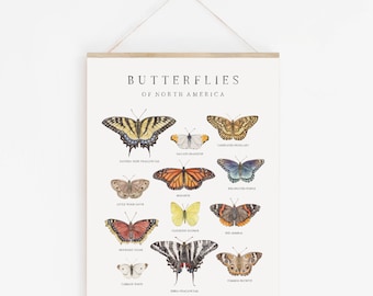 Butterflies of North America Watercolor Print | Nature Chart | Butterfly Painting | Montessori Art | Playroom art | Nursery Wall Art