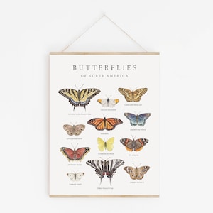 Impresión en acuarela de mariposas de América del Norte / Cuadro de naturaleza / Pintura de mariposas / Arte Montessori / Arte de sala de juegos / Arte de pared para guardería