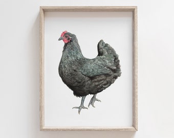 Australorp Chicken Watercolor Art Print | Chicken Painting | Black Chicken Wall Art