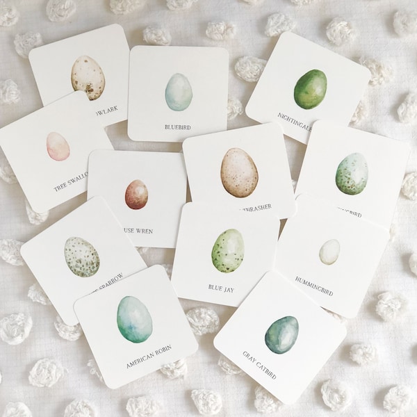 Tarjetas imprimibles a juego de huevos de pájaro / Imprimibles en casa / Descarga de tarjetas flash / Estudio de la naturaleza / Tarjetas de aprendizaje / Montessori / Waldorf