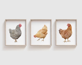 Set of 3 Chickens Watercolor Art Prints | Chicken Painting | Chicken Wall Art | Farmhouse Wall Decor | Farm Animal Painting