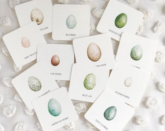 Printable Bird Egg Matching Cards | Homeschool Printable | Flash Cards Download | Nature Study | Learning Cards | Montessori | Waldorf