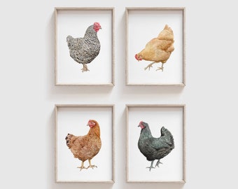 Set of 4 Chickens Watercolor Art Prints | Chicken Painting | Chicken Wall Art | Farmhouse Wall Decor | Farm Animal Painting