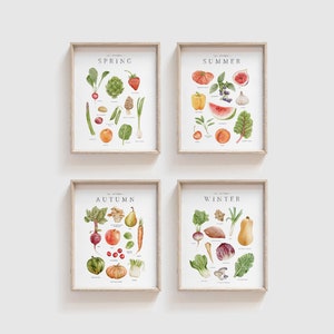Set of Four Watercolor Seasonal Produce Prints | Farmhouse Kitchen Wall Art | Dining Room Wall Art | Kitchen Decor | Homeschool Nature Study