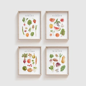 Set of Four Watercolor Seasonal Produce Prints Farmhouse Kitchen Wall Art Dining Room Wall Art Kitchen Decor Homeschool Nature Study image 1