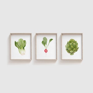 Op de afbeelding: Drie ingelijste aquarel illustraties van groenten. De eerste lijst toont een paksoi, de tweede lijst toont een radijs en de derde lijst toont een artisjok.