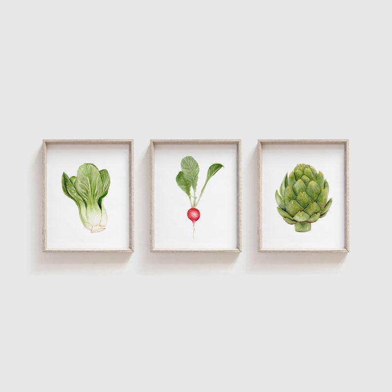 Op de afbeelding: Drie ingelijste aquarel illustraties van groenten. De eerste lijst toont een paksoi, de tweede lijst toont een radijs en de derde lijst toont een artisjok.