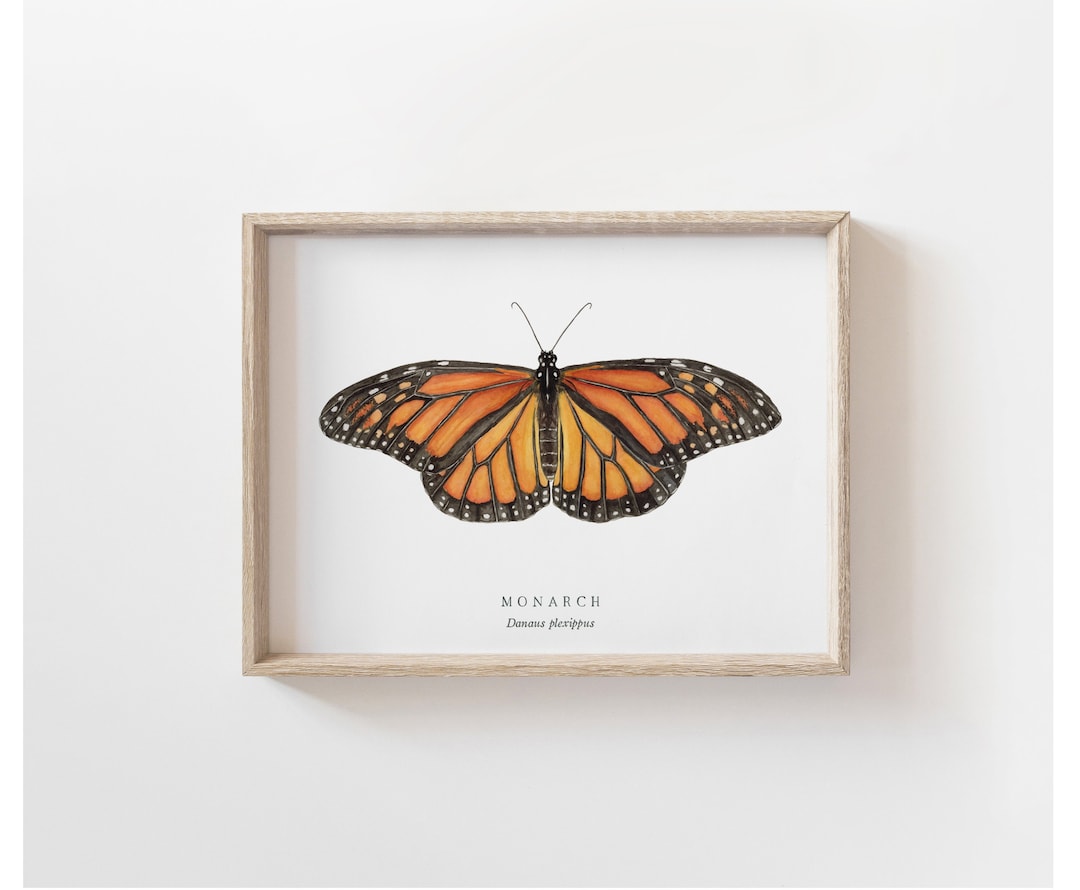Monarch Butterfly Watercolor Art Print | Butterfly Painting ...
