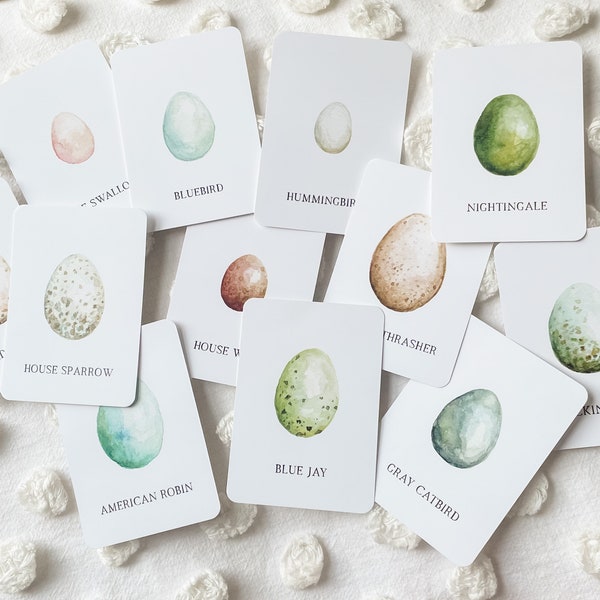 Bird Egg Matching Cards | Nature Learning Cards | Homeschool Nature Study | Educational Game | Children's Gift | Montessori | Waldorf