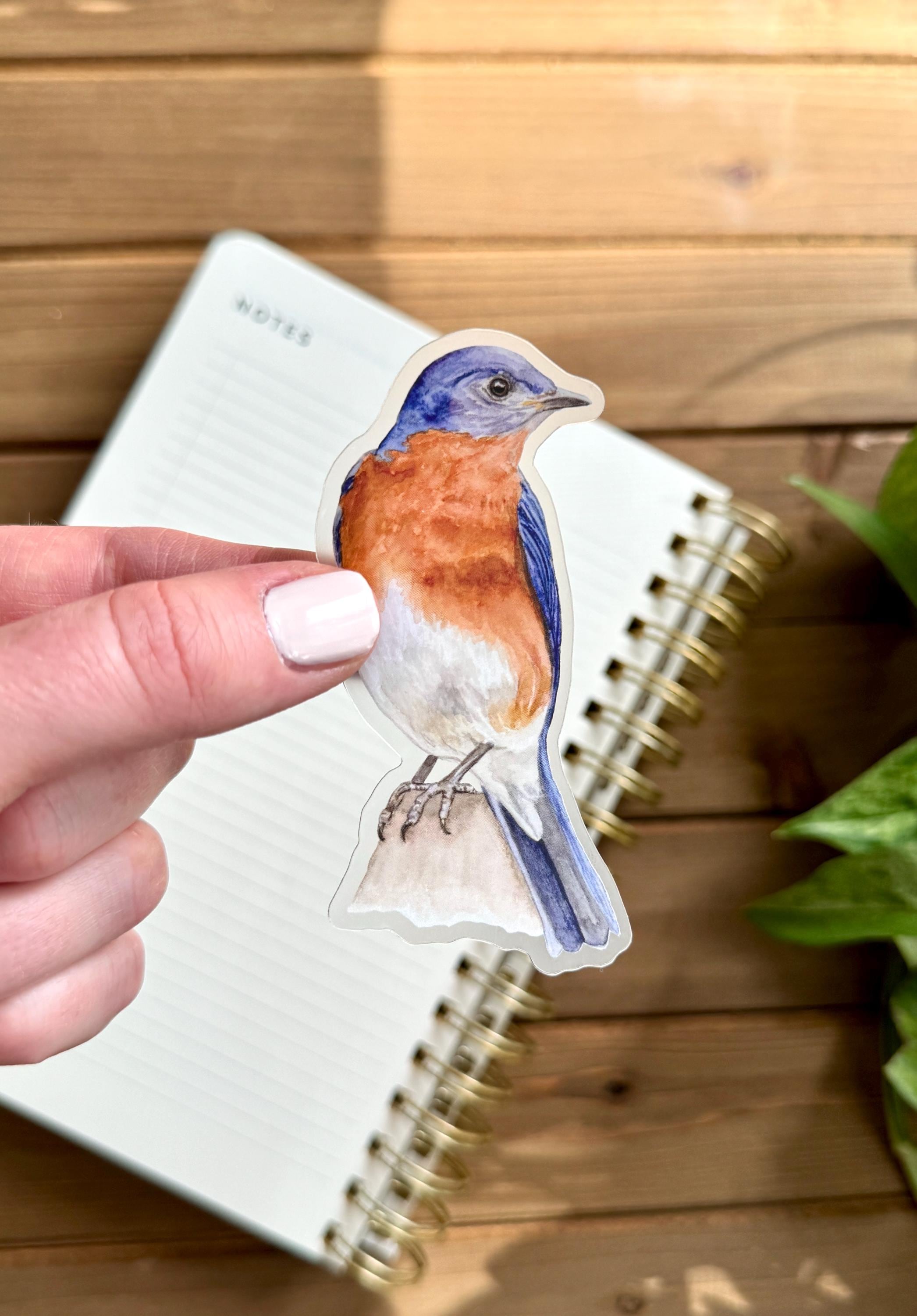 Bluebird Clear Vinyl Sticker | Watercolor Nature Decal | Bird Laptop ...