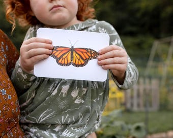 May include: A child holds up a white card with a drawing of an orange and black monarch butterfly.