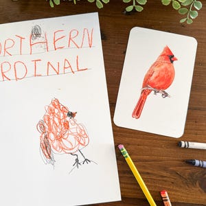 K&ouml;nnte beinhalten: Eine Zeichnung eines Kardinals, mit den Worten "Northern Cardinal" dar&uuml;ber geschrieben. Eine separate Karte zeigt eine realistische Illustration eines roten Kardinals.